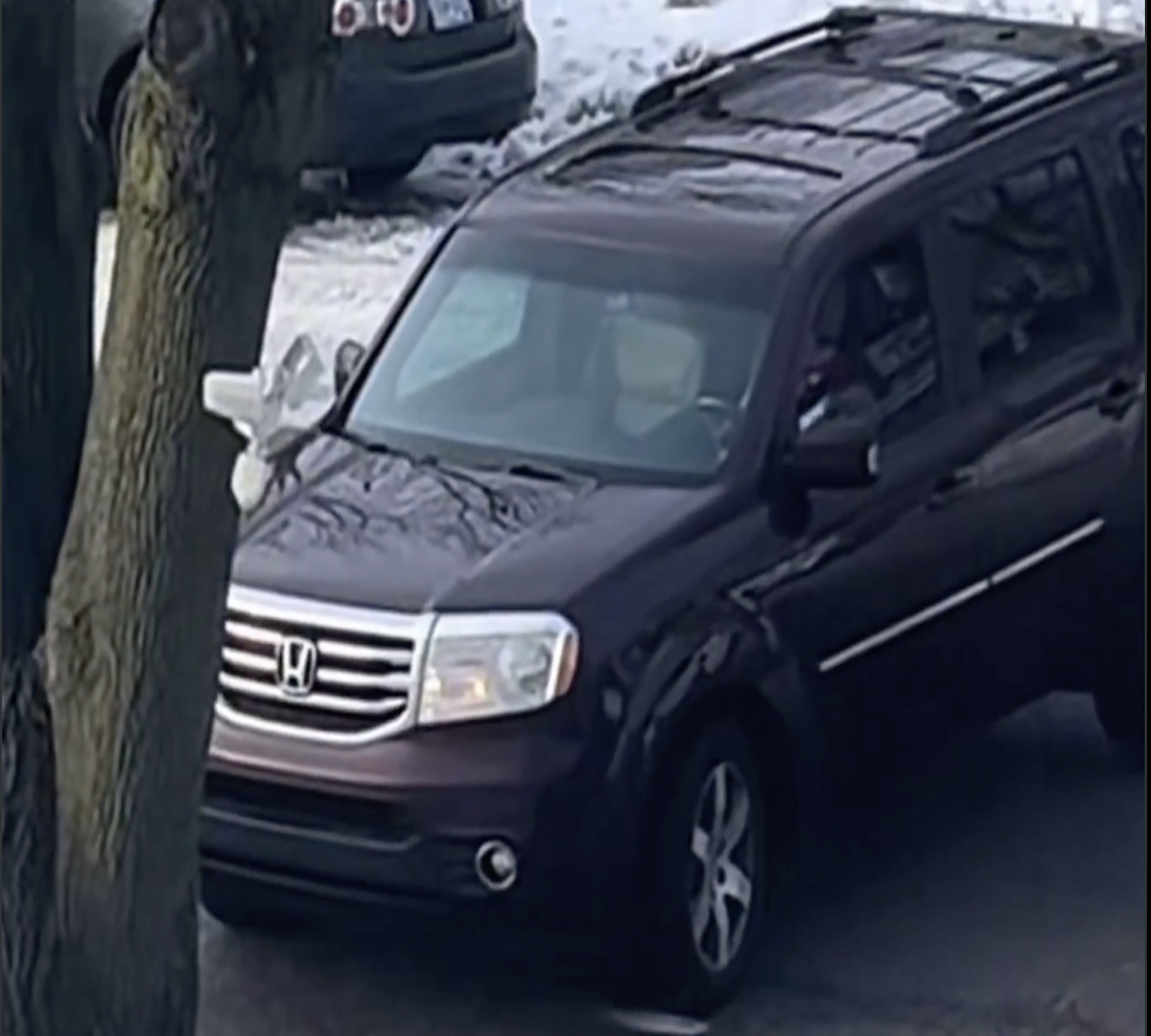 New Video Shows Renee Good Blocking ICE Before Fatal Shooting