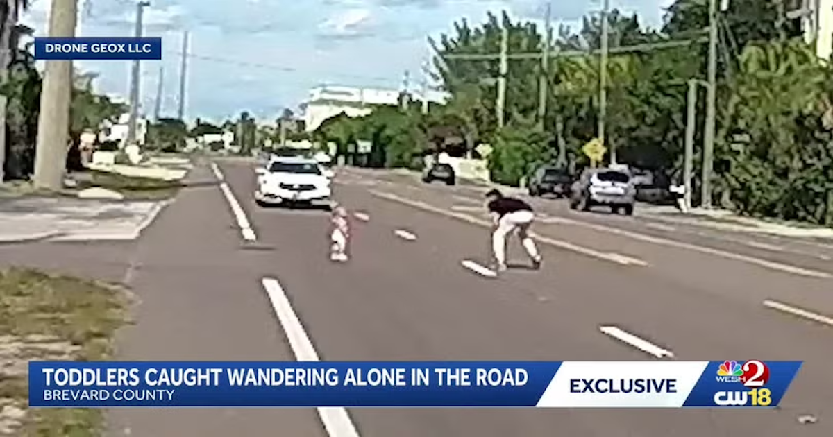Dashcam: Hero Scoops Toddlers Off Busy Road Just in Time